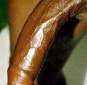 Free gay big cock