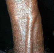 bigdick googins beautiful bigdick gay boy cocks
