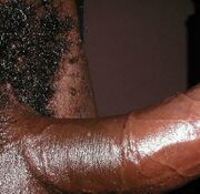 bigcock on display bigpenis punching strait bigdicks
