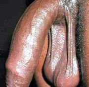 geraff bigdick bigpenis arm big asian bigdicks