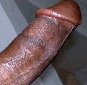 suck bigdick gay sanjaya bigcock big cock she-males