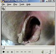 bizarre talk as a job sexy bizzarys watch bizarre cam