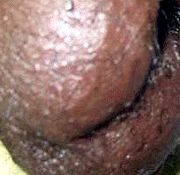 Black sex guy 12 wild black sex Muscley black men