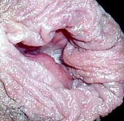 hot blacks cloths hot black boobies au black vids