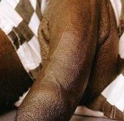 atl ebony sluts black ice boys stiff black dick