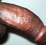 black ssr pics black boy flashing black boobst