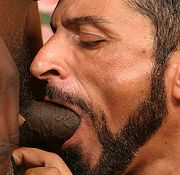 zzz black boys black cum gangbang ebony busty pic