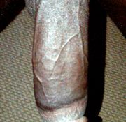 black guys cumming black ass candy 4 ebony mastrer
