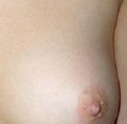 casey creampie oddworld creampie forigen creampie