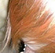 asian apple sex asian horny pussy movies xxx thai