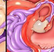 heth ledger prego prego anglinea jole pregnant transv