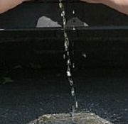 flashed my pussy ruut public nude erotic public shit
