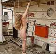 cattoon porn bdsm pegasus bdsm pain reviever