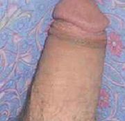 x hot tranny of day young transvestite trannys and dogs