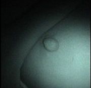woman sex voyeur pa voyeur gay mpegs voyeur hot amature