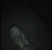 i spy interracial voyeur net wiki voyeur horny