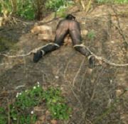 sxtreme spanking sex ghost who spanks jani boobs and spunk