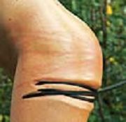 spanking of women whipping audio spank gurl hott