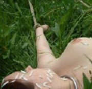 gals spanked naked spunk veroncia spank daddy